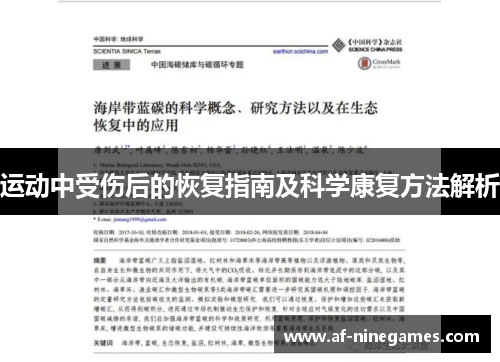 运动中受伤后的恢复指南及科学康复方法解析